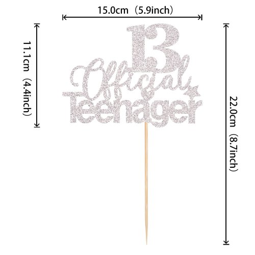 1 PCS 13 Official Teenager Cake Topper Glitter 13th Birthday Cake Pick Decorations for Teen 13th Birthday Party Supplies Silver