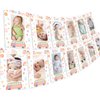 Groovy Photo Banner First Birthday Baby Photo Banner Monthly Milestone Photo Banner for Groovy One Party Decorations