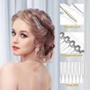 Uonlytech 10pcs 14 Teeth Plastic Hair Side Combs, Small French Teeth Hair Combs Hair Clip Combs Clear Barrettes Bun Holder for Women Bridal Wedding