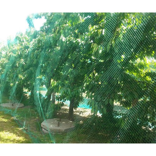 CandyHome 13Ft x 33Ft Anti Bird Protection Mesh Garden Netting Seedlings Plants Flowers Fruit Trees Vegetables from Rodents Deer Reusable Fencing, 13Ft x 33Ft, Green
