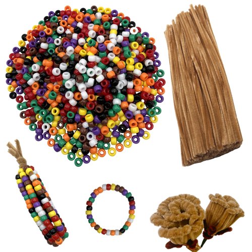 Swpohrat 100 Pcs Light Brown Craft Pipe Cleaners with 800 Pcs Pony Beads for Craft Indian Corn Bracelet Necklace Earring Jewelry Making,DIY Craft Projects and Holiday Decorations