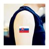 Womaha 30 Temporary Slovakia Flag Tattoos Fans Face Tattoo Stickers for Adults Kids Group Activity Props