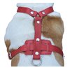 Genuine Leather Dog Harness, 29"-37" Chest, 1" Wide Straps, Doberman, Pitbull, Bullterrier