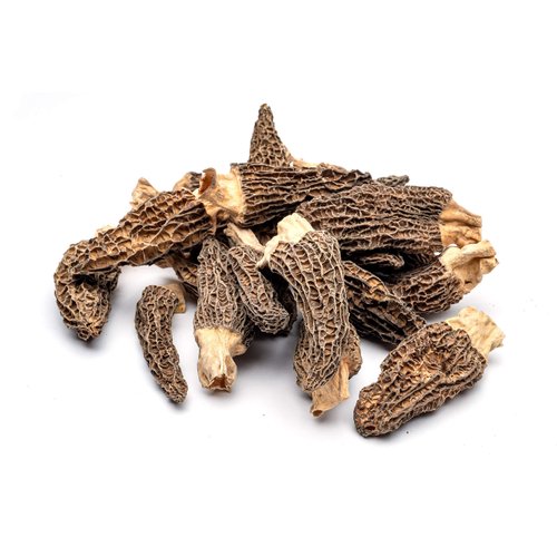 Slofoodgroup Dried Morel Mushrooms (Morchella Conica) Gourmet Morel Mushrooms (15 Morel Mushrooms)