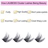 Cluster Lashes Mixed Length Individual Lashes D Curl Lash Clusters Volume Eyelash Clusters DIY Lash Extension Kit Fluffy Cluster Eyelash Extensions (02-0.07D, 9-16mm)
