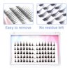 HOSAILY Manga Lash Clusters 2 Styles Segmented Asian Eyelashes Natural Look DIY Eyelash Extensions Mixed Lengths Natural Individual Lash Clusters