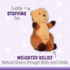 1i4 Group Warm Pals - Otter - Cozy Lavender Scented Plush Toys - Stuffed Animal - Coolable Bedtime Comfort Plushie