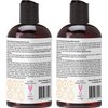 Laritelle Organic Travel Size Shampoo 2 oz + Travel Size Conditioner 2 oz | Organic Quinoa + Keratin + Follicle Stimulating Rosemary, Ginger & Grapefruit | NO GMO. Vegan
