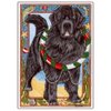 Newfoundland Christmas Cards : 10 Holiday Cards with White Envelopes - Adorable!