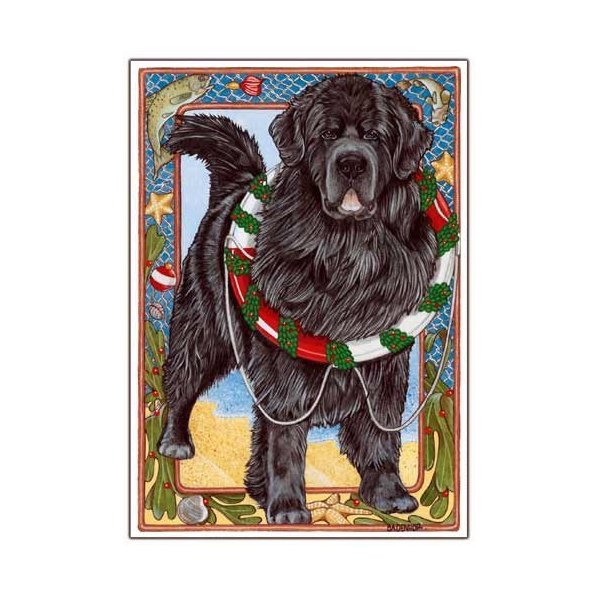 Newfoundland Christmas Cards : 10 Holiday Cards with White Envelopes - Adorable!