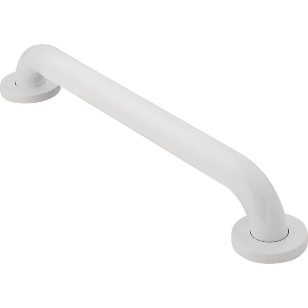 Moen LR8924W Home Care Safety 24-Inch Stainless Steel Bathroom Grab Bar, Glacier