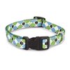 Casual Canine Nylon Pooch Patterns Dog Collar, Fits Necks 18" to 26'", Blue Argyle