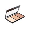 BYS Highlighting Trio Palette Illuminate - 1 Matte and 2 Shimmering Shades makeup palette