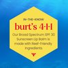 Burt's Bees Island Getaway Sun Care SPF 30 Lip Balm Stocking Stuffers, Water-Resistant Lip Moisturizer Christmas Gifts, Nano-Free Zinc Oxide Formula, Natural Conditioning Lip Treatment (3-Pack)