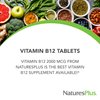 NaturesPlus Vitamin B12 (Methylcobalamin), Sustained Release - 2000 mcg, 60 Vegetarian Tablets - High Potency Red Blood Cell Support - Natural Energy Booster - Gluten-Free - 60 Servings