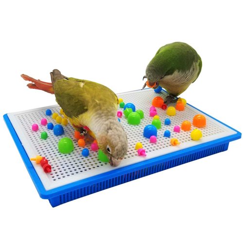 QBLEEV Bird Toys for Parakeets, Bird Intelligence Training Toy, Parrot Puzzle Toys Plastic Bird Educational Toys, Cockatiel Foraging and Chewing Toys, Conure Cage Accessories for Budgie African Grey