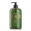 The Body Shop Olive Shower Gel Jumbo, 25.3 Fluid Ounces