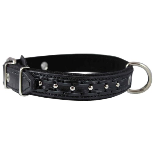 Genuine Leather Braided Studded Dog Collar, Black 1.25" Wide. Fits 16"-20.5" Neck.