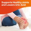 Nutriana Advanced Uric Acid Control - 60 Veggie Capsules with 625mg Tart Cherry & 300mg Turmeric - Joint Comfort & Kidney Health Formula with Celery Seed Extract