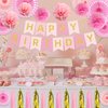 fiintrwa Pink Birthday Decorations, Pink Happy Birthday Banner with Tissue Paper Pom Poms, Hanging Paper Fans Party Decoration /Birthday Party Decorations for Women Girls