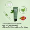 BENTON Deep Green Tea Natural Face Wash (4.23 oz.) - Hydrating and Gentle Facial Cleanser for Various Skin types, Korean Foaming Facial Cleanser