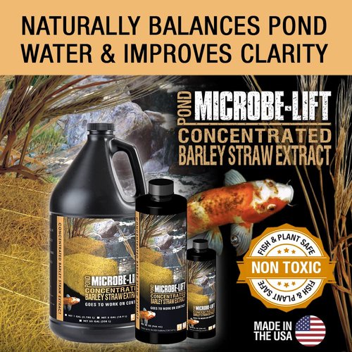 MICROBE-LIFT MLCBSE500 Concentrated Barley Straw Extract Conditioner for Ponds and Outdoor Water Garden, Safe for Live Koi Fish, Plants, and Decorations, 16 Ounces