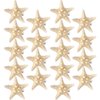 Yilloog 18 Pcs Starfish Hair Clips Mermaid Hair Accessories Seashell Hair Clips Resin Hair Clips Starfish Beach Hair Pins for Women Ladies Halloween Wedding Bridal Gifts