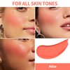 FV Liquid Blush, Long Lasting & Blendable Cream Blush for Cheeks, High Pigmented Dewy Blush Makeup, Buildable Face Blushes for Healthy Natural Finish (Alice)