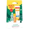 Burt's Bees Hive Favorites Beeswax Holiday Gift Set, Beeswax Lip Balm and Travel Size Body Lotion with Milk and Honey