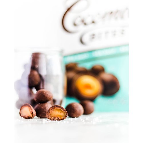 Cocomels Chocolate Covered Caramel BITES - VEGAN Organic Made Without Dairy Kosher (Variety, Sea Salt and Vanilla, 2 pack)