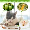 4 Pack Natural Silvervine Sticks, Catnip Toy Cat Chews Stick Toys for Indoor Cats Kitten, Teeth Molar Cleaning Relieve Interactive Silvervine Cat Nips Toy with Bell, Reduce Boredom Cats Accessories