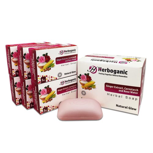HERBOGANIC Ginger Extract,Cornstarch & Rose Water Herbal Soap| Revitalizing Bar Soap for Face and Body| Enhances Natural Glow | Infused with Ginger Extract, Cornstarch & Rose Water| 5 Oz (Pack of 6)