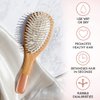 Wooden Hair Brush Set - Paddle Brush, Round Brush & Comb, Hair Brushes with Soft Bristles, Hairbrushes for Women by Lily England (Rose Gold)
