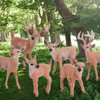 Woodland Wild Animals Toy Playset White Tail Deer Figurines Toys Christmas Scene Decoration Cake Tooper Decoration Accessory Cognitive Toys for Kids 6 Pcs