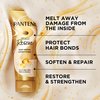Pantene Miracle Rescue Deep Conditioner - Melting Pro-V Pearls for Dry, Damaged or Color-Treated Hair, Softens and Repairs, 8.0 oz