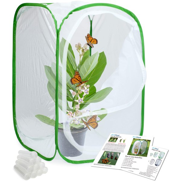 RESTCLOUD Insect and Butterfly Habitat Cage Terrarium Pop-up 24 Inches Tall with 10Pcs 10ML Floral Tubes