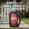 Spectracide One Shot Fire Ant Killer, Fire Ant Bait, Controls Fire Ants for 3 Months, 1.5 lb