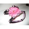 XSmall Zebra Print Pink 4" Floral Dog Harness : Neck 8-12" Girth 8-14"