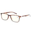 JOSCHOO Computer Reading Glasses Anti Blue Light Blocking readers Men Women Eye Strain Glasses of Reading