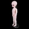 UCanaan 5 Pcs Doll Stand Display Holder for Dolls Transparent Model Support Frame Prop Up Girl Dolls Suitable for 11''-18'' Inch 1/6 1/4 Dolls Accessories doll stands doll display case