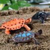 Bememo 16 Pcs Plastic Turtles Party Decorations Small Sea Turtles Toys Mini Realistic Plastic Ocean Animals Figures Bath Fake Tortoises Educational Toy for Birthday Party Gifts