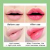 5 Pack Aloe Vera Color Changing Lipstick, Long Lasting Moisturizing Temperature Color Changing Aloe Vera Lip Gloss Lip Balm, Green Lipstick that Turns Pink Magic lipstick Makeup (Aloe Vera)