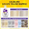 COLORLOMO Bye Bye Yellow Purple Shampoo, Neutralizes Brass & Yellow Tones, Sulfate Free, For Color Treated, Blonde, Bleached, Highlighted Brown or Silver Hair, 11. 83 Fl Oz