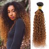 Ombre Brazilian Kinky Curly Hair 1 Bundles, 10A Remy Dark Blonde Curly Weave Human Hair Extensions 100g, 100% Unprocessed Brazilian Virgin Hair Color Brown 12 Inch