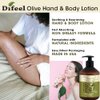 Difeel Olive Oil Hand and Body Lotion 16.9 Ounce