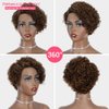 Rebecca Fashion Ombre Brown Curly Pixie Cut Lace Front Wigs Human Hair Water Wave Short Pixie Cut Wig Side Part 13x5.5x0.5 HD Lace Pixie Cut Lace Front Wigs Human Hair