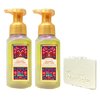 Bath & Body Works Crushed Candy Cane 2 Pack Gentle Foaming Hand Soap Bundle with a Natural Oats Sample Soap