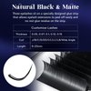 Premium D Curl 0.07mm Thickness Semi Permanent Individual Eyelash Extensions Silk Volume Lashes Professional Salon Use Mixed 9-15mm Length In One Tray (D 0.07,9-15 Mixed)