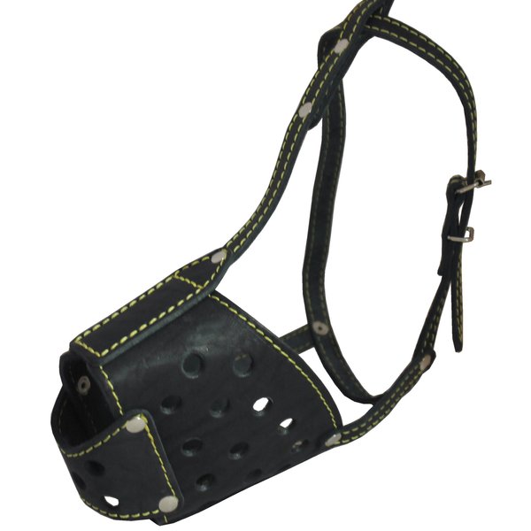 Real Leather Cage Basket Secure Dog Muzzle - Pit Bull, (Circumference 12.5", Snout Length 3.5")