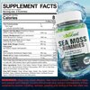 Sugar-Free Sea Moss Gummies 5000mg, Extra Strength Irish Moss Gel Supplement with Iodine, Chlorophyll, Unfiltered ACV, D3, Burdock Root, Bladderwrack for Immune, Digestive, Joint, Skin,Vegan 120 Chews